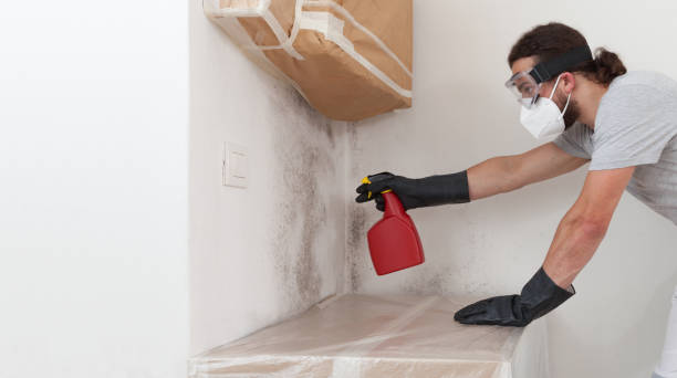 Professional Bathroom Mold Removal technician working in Stevenson, MD