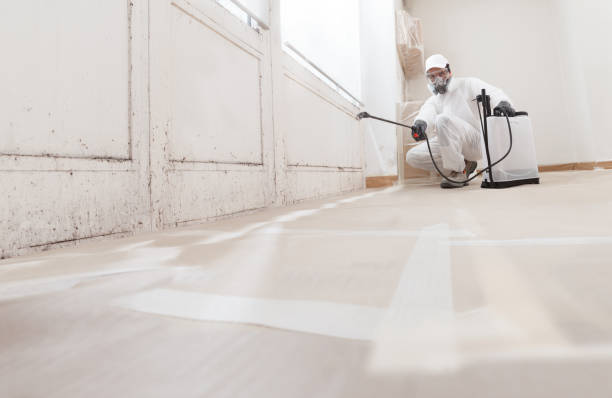 24/7 Emergency Bathroom Mold Removal experts in Stevenson, MD