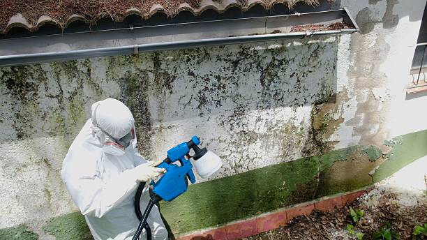 Top rated local Bathroom Mold Removal specialists in Stevenson, MD